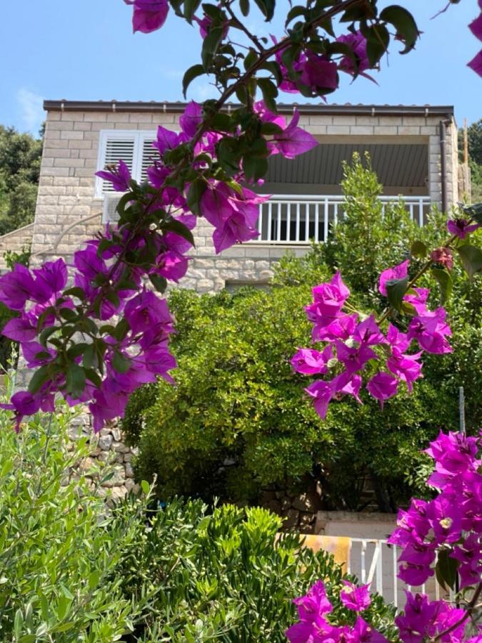 Charming Seafront Stay At Villa Mara Dubrovnik Dış mekan fotoğraf